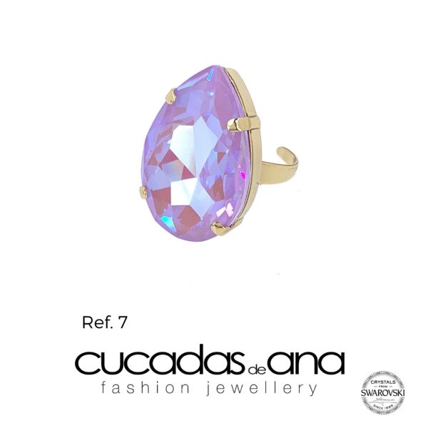 Anillo Irati - Imagen 10