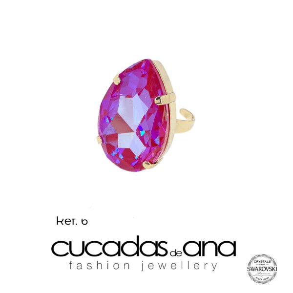Anillo Irati - Imagen 9